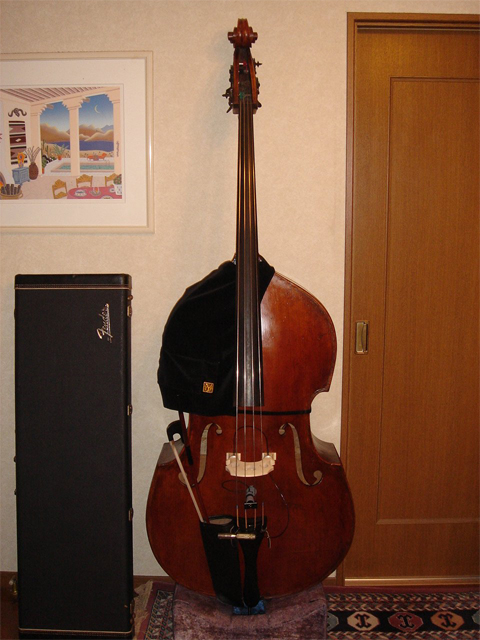 http://www.haisha.biz/images/contrabass01.jpg